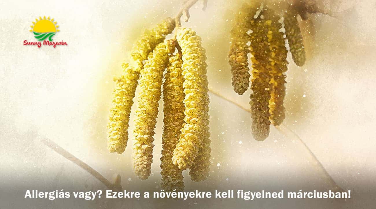 Allergiás vagy? Ezekre a növényekre kell figyelned márciusban!