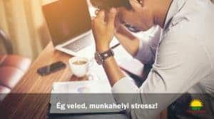 Ég veled munkahelyi stressz!